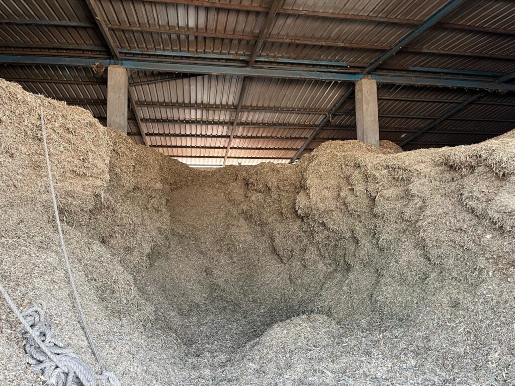 Dry Fodder Storage